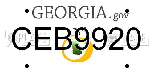 CEB9920 Georgia License Plate