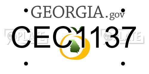 CEC1137 Georgia License Plate