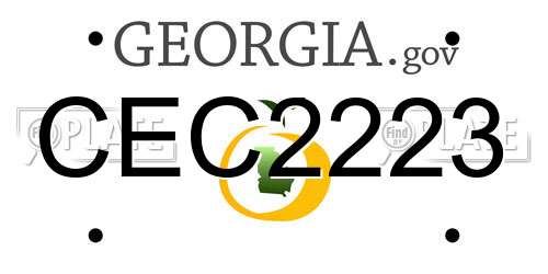CEC2223 Georgia License Plate