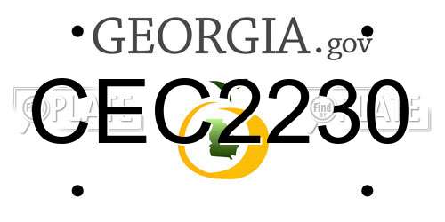 CEC2230 Georgia License Plate