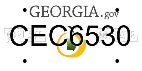 CEC6530 Georgia License Plate