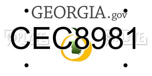 CEC8981 Georgia License Plate