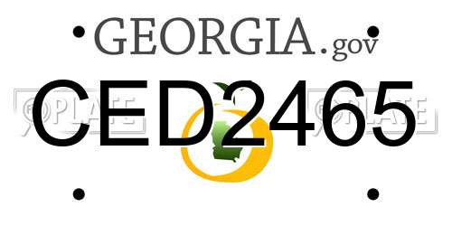 CED2465 Georgia License Plate