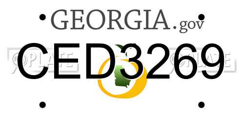 CED3269 Georgia License Plate