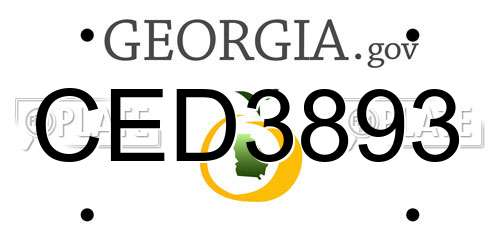 CED3893 Georgia License Plate