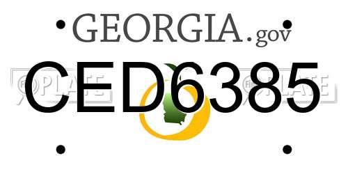 CED6385 Georgia License Plate
