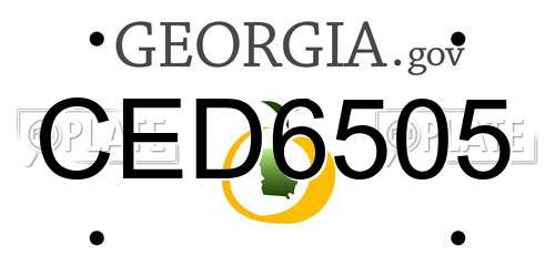 CED6505 Georgia License Plate