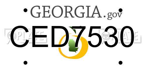 CED7530 Georgia License Plate