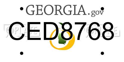 CED8768 Georgia License Plate