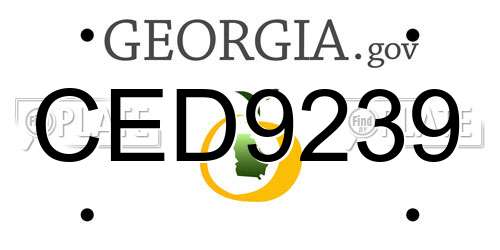 CED9239 Georgia License Plate