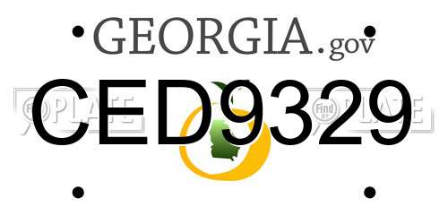 CED9329 Georgia License Plate