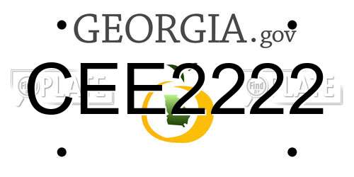 CEE2222 Georgia License Plate