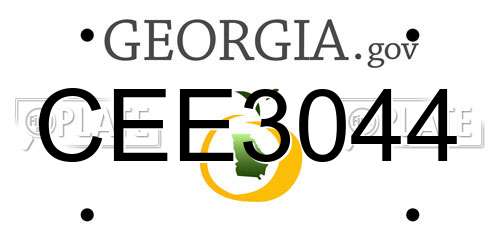 CEE3044 Georgia License Plate