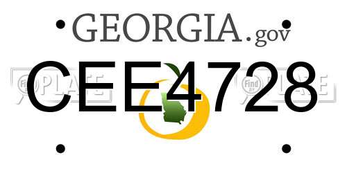 CEE4728 Georgia License Plate