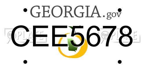 CEE5678 Georgia License Plate