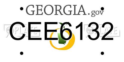 CEE6132 Georgia License Plate