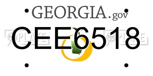 CEE6518 Georgia License Plate