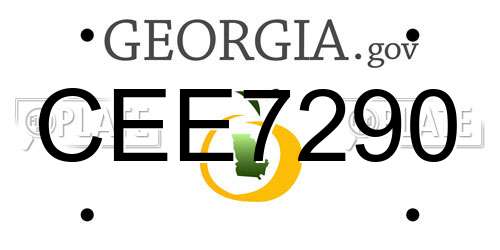 CEE7290 Georgia License Plate