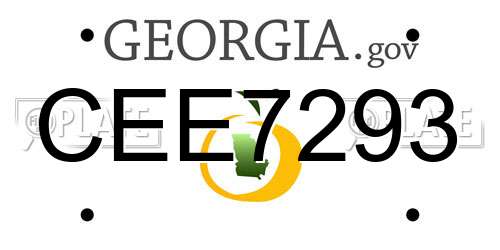 CEE7293 Georgia License Plate