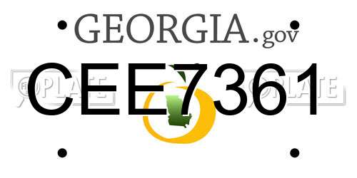 CEE7361 Georgia License Plate