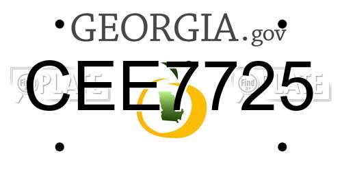 CEE7725 Georgia License Plate