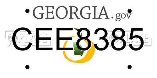 CEE8385 Georgia License Plate