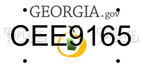CEE9165 Georgia License Plate