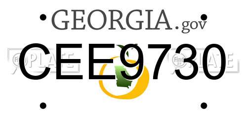 CEE9730 Georgia License Plate