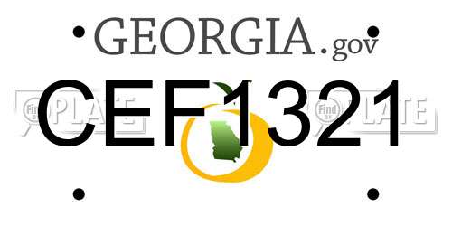 CEF1321 Georgia License Plate