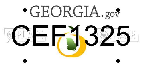CEF1325 Georgia License Plate