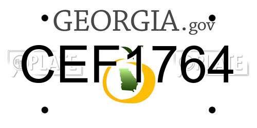 CEF1764 Georgia License Plate
