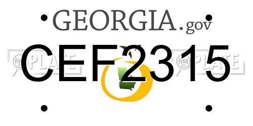 CEF2315 Georgia License Plate