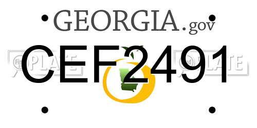 CEF2491 Georgia License Plate
