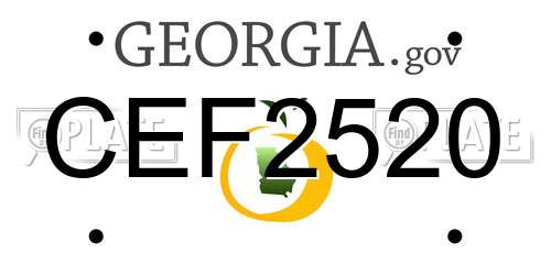 CEF2520 Georgia License Plate