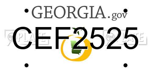 CEF2525 Georgia License Plate