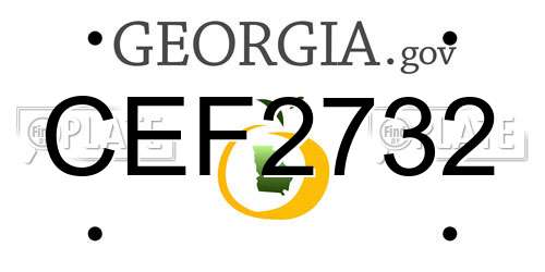 CEF2732 Georgia License Plate