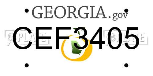 CEF3405 Georgia License Plate
