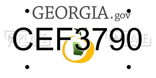 CEF3790 Georgia License Plate