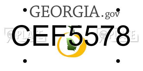 CEF5578 Georgia License Plate