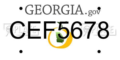 CEF5678 Georgia License Plate