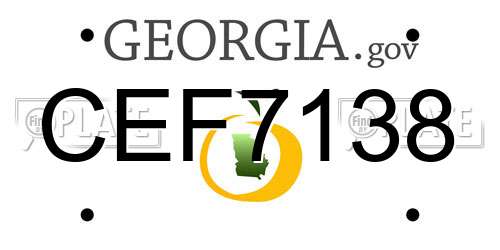 CEF7138 Georgia License Plate
