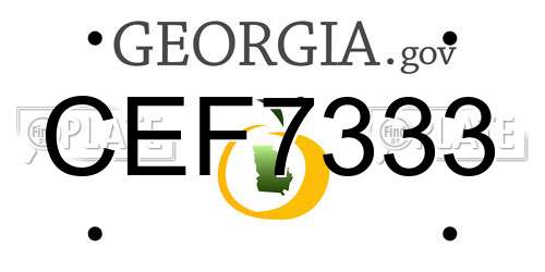 CEF7333 Georgia License Plate