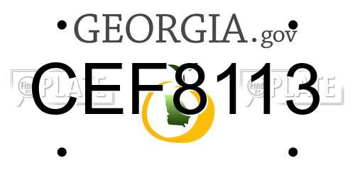CEF8113 Georgia License Plate