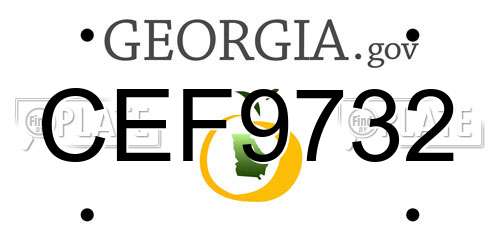 CEF9732 Georgia License Plate
