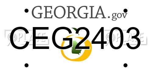 CEG2403 Georgia License Plate