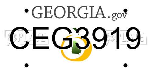CEG3919 Georgia License Plate