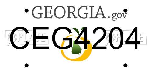 CEG4204 Georgia License Plate