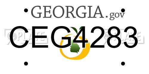 CEG4283 Georgia License Plate