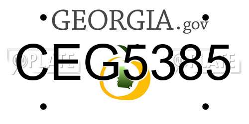 CEG5385 Georgia License Plate