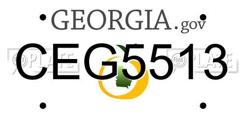 CEG5513 Georgia License Plate
